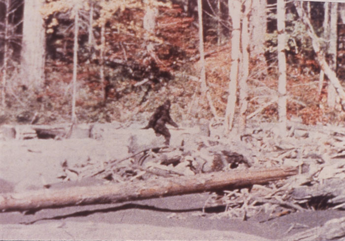 Archaeo - Histories tweet media