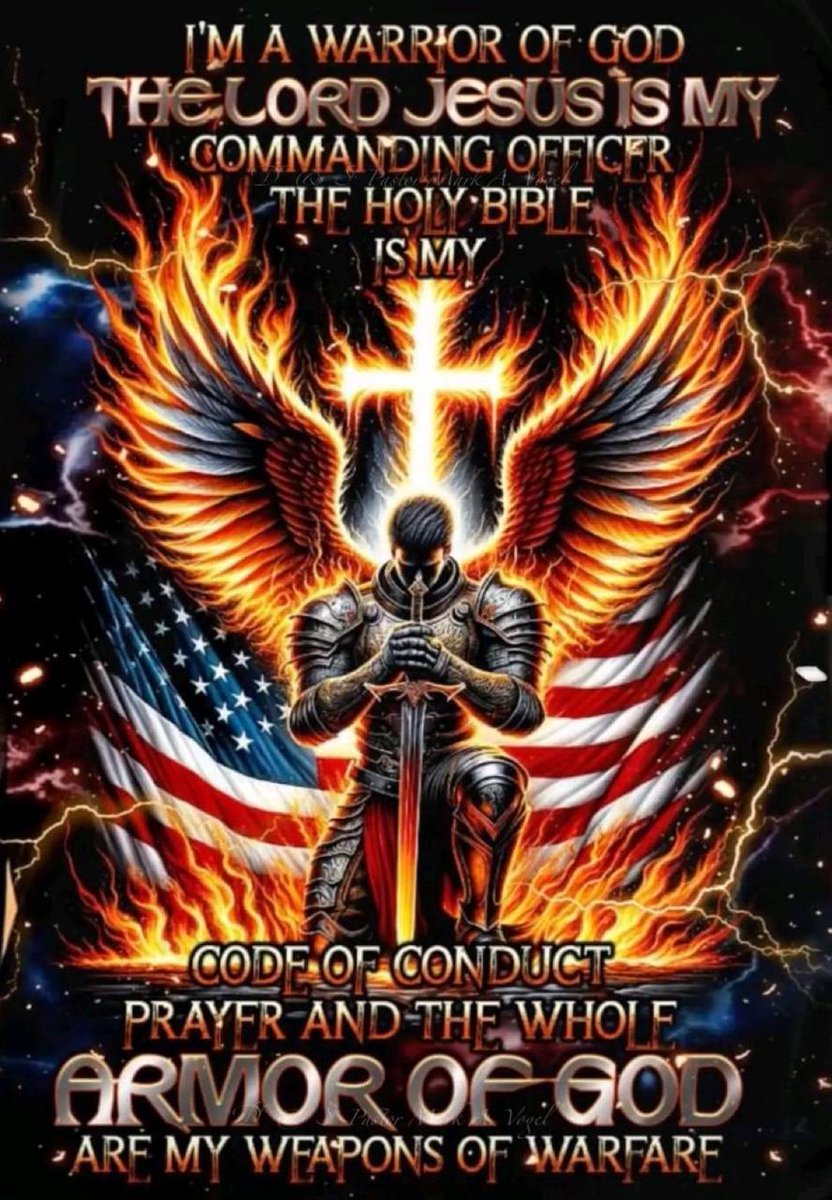 THE QSTORM DEFENDER tweet media