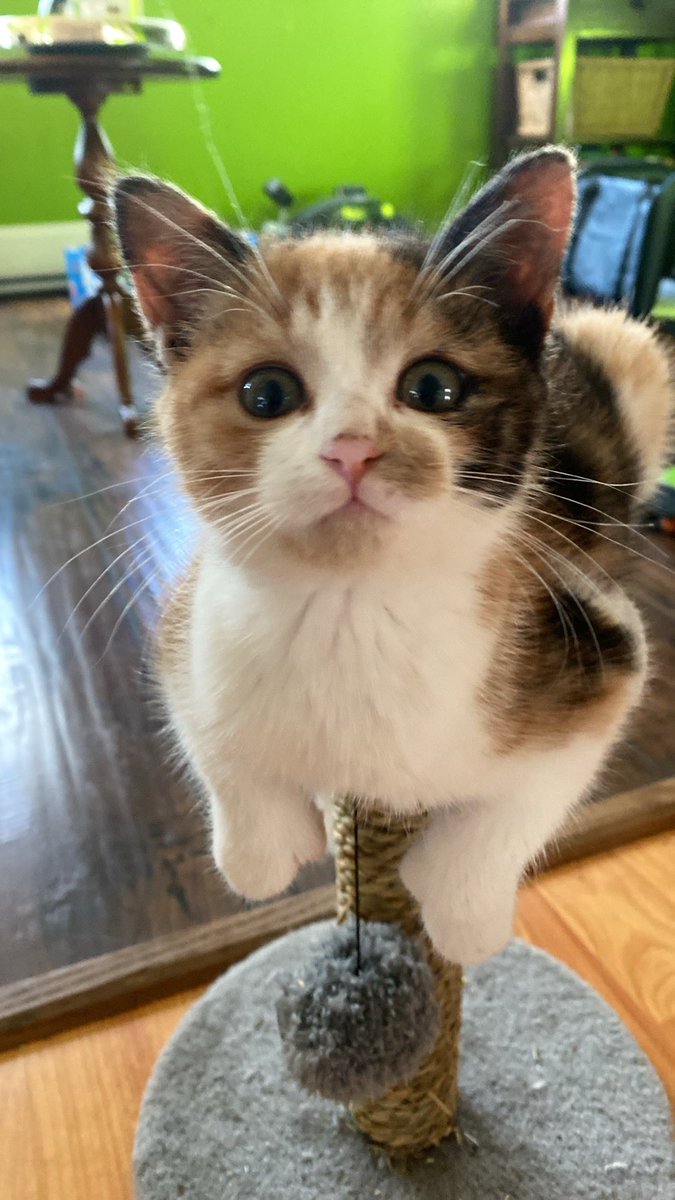 𝕯𝖆𝖓𝖞 l'gamer - joue : S.T.A.L.K.E.R 2 tweet media