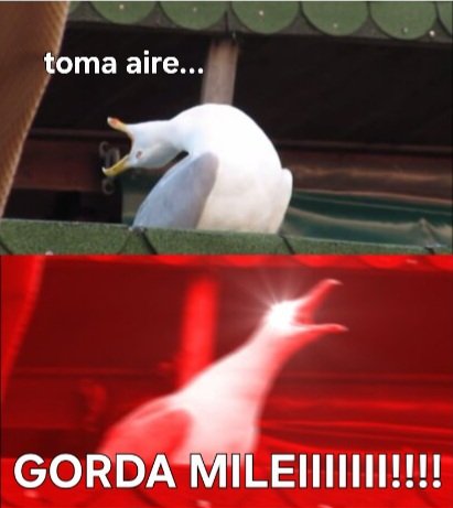 #GordaMilei