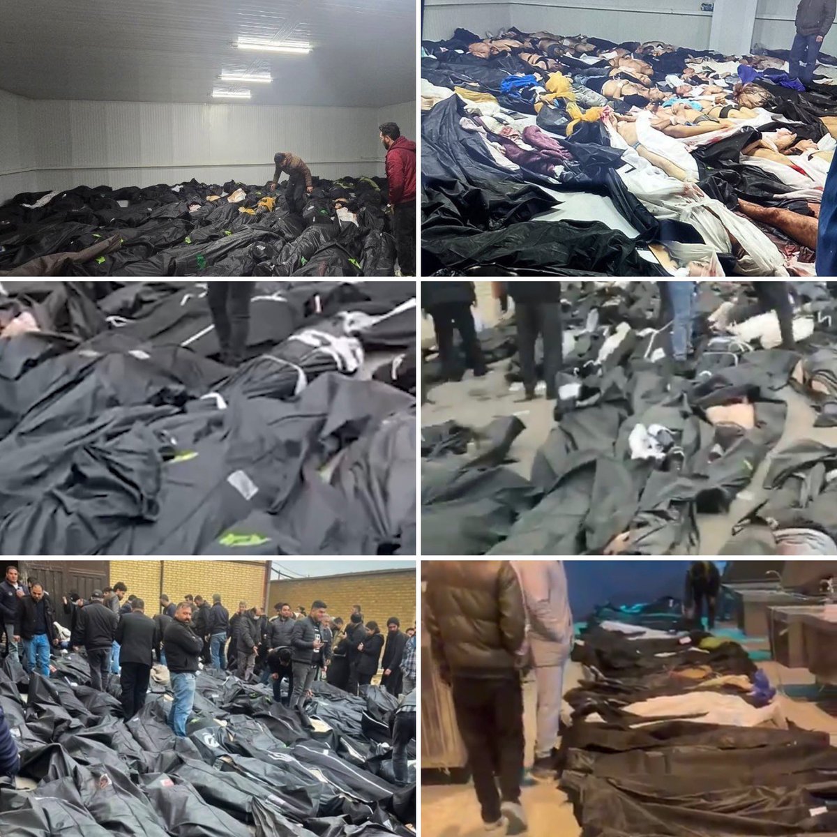 BarleyPop tweet media