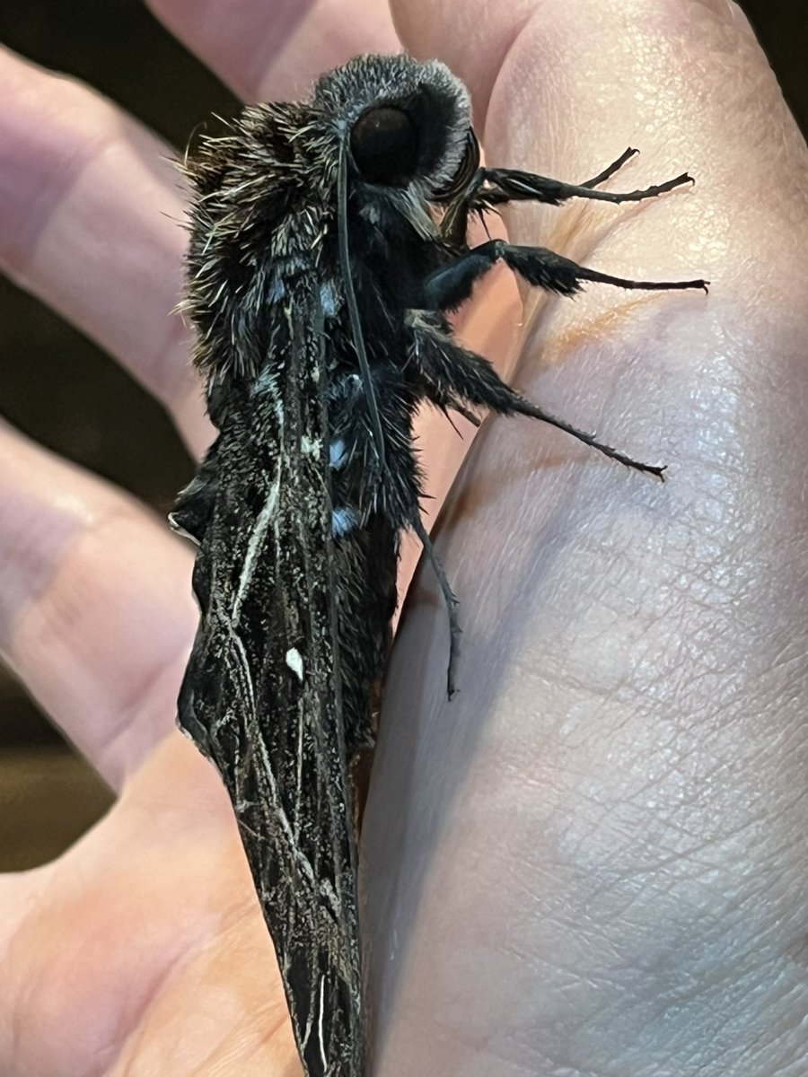 Andrew C Sims tweet media