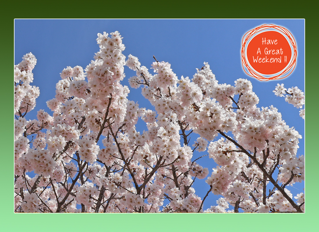 Hiro Kitsukawa tweet media