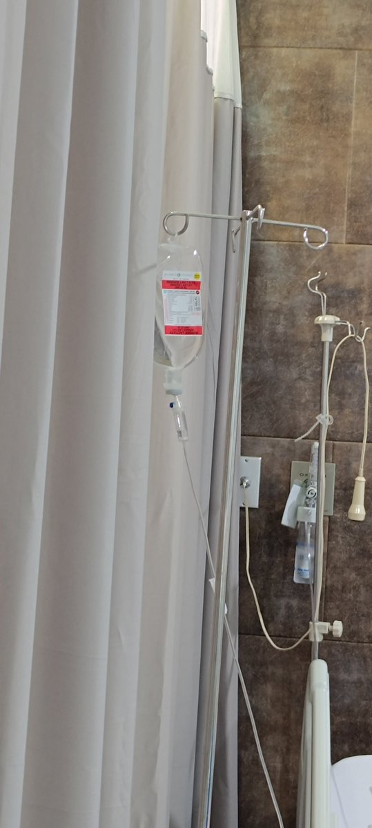 Kuda 🐴 tweet media