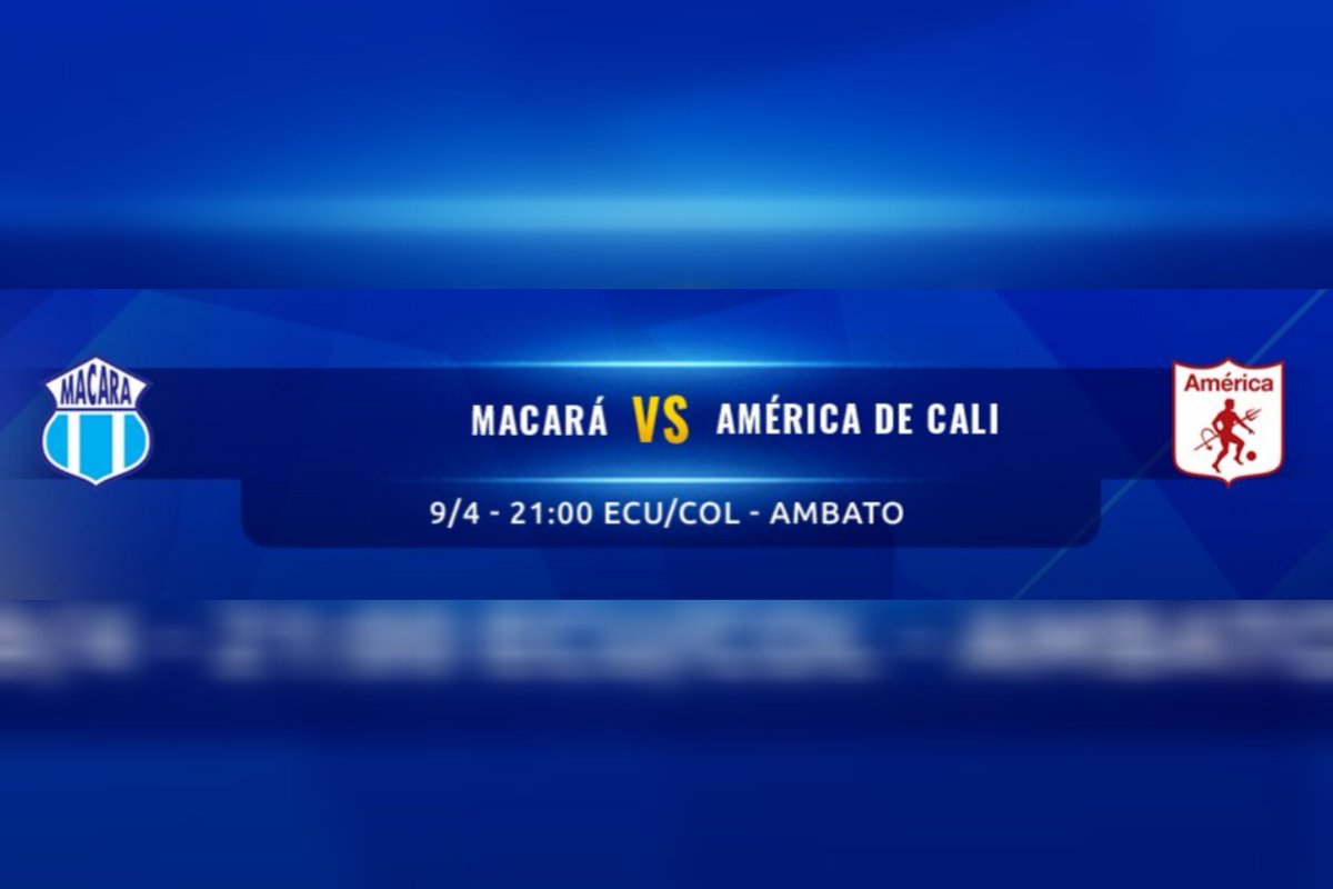 Estamos activos 🔝