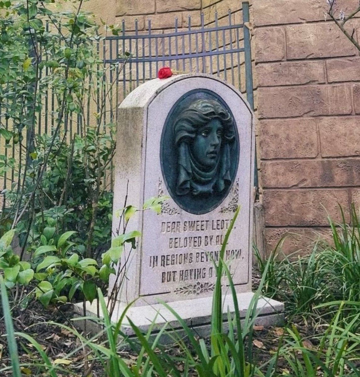 𝔥𝔞𝔫𝔫𝔞𝔥 🍁🪲 tweet media