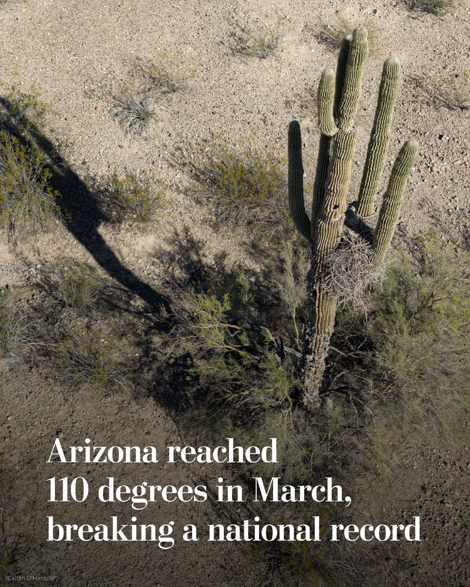 The Washington Post tweet media