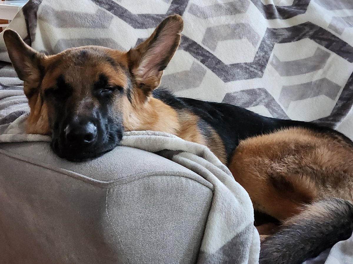 Jon Sputnik tweet media