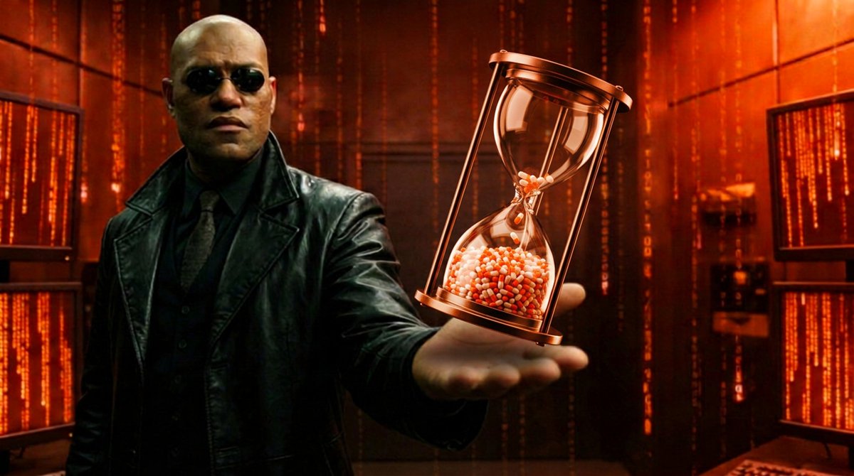 Orange Pill 🍊💊 tweet media