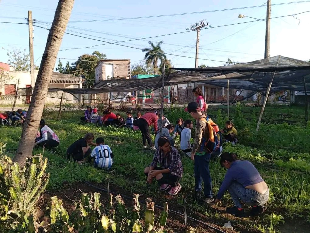 Yunier Valeriano tweet media