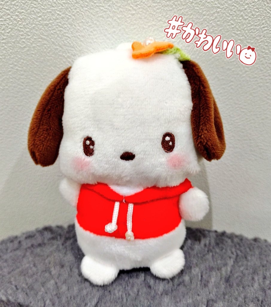 ♪YUKARI ⁷♪ tweet media