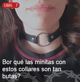 Voxed Posting tweet media