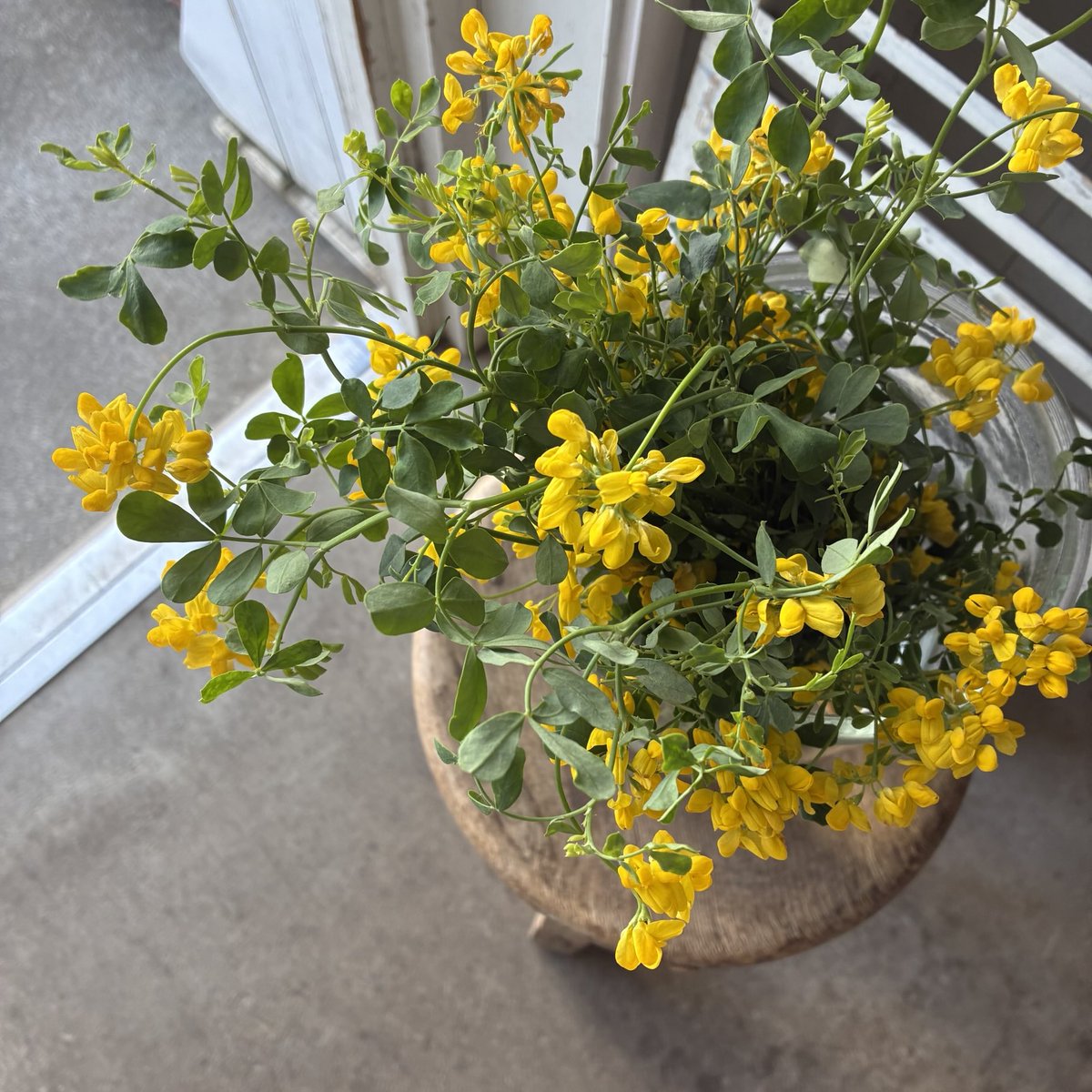 d`ici peu tweet media