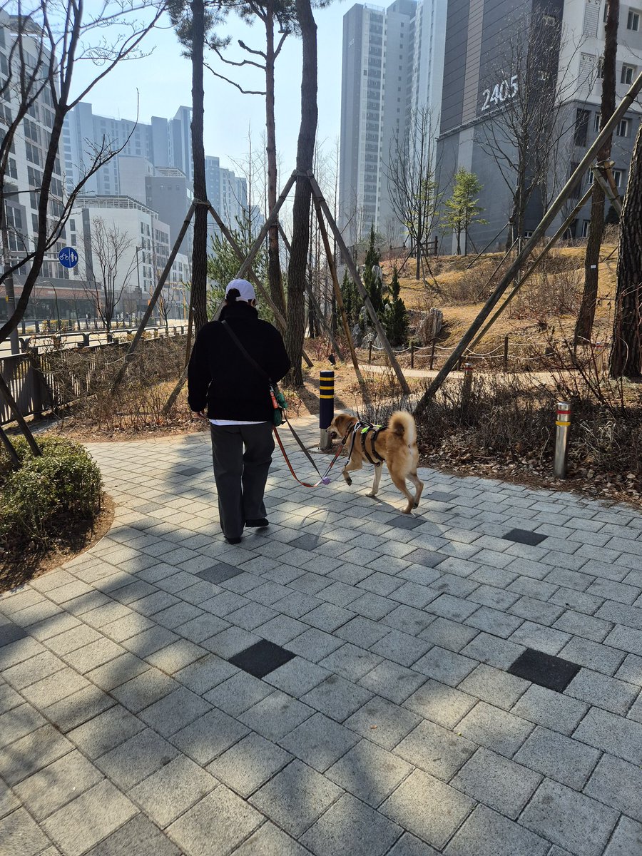 水月 서울 수월(가족 찾는 오순이) tweet media