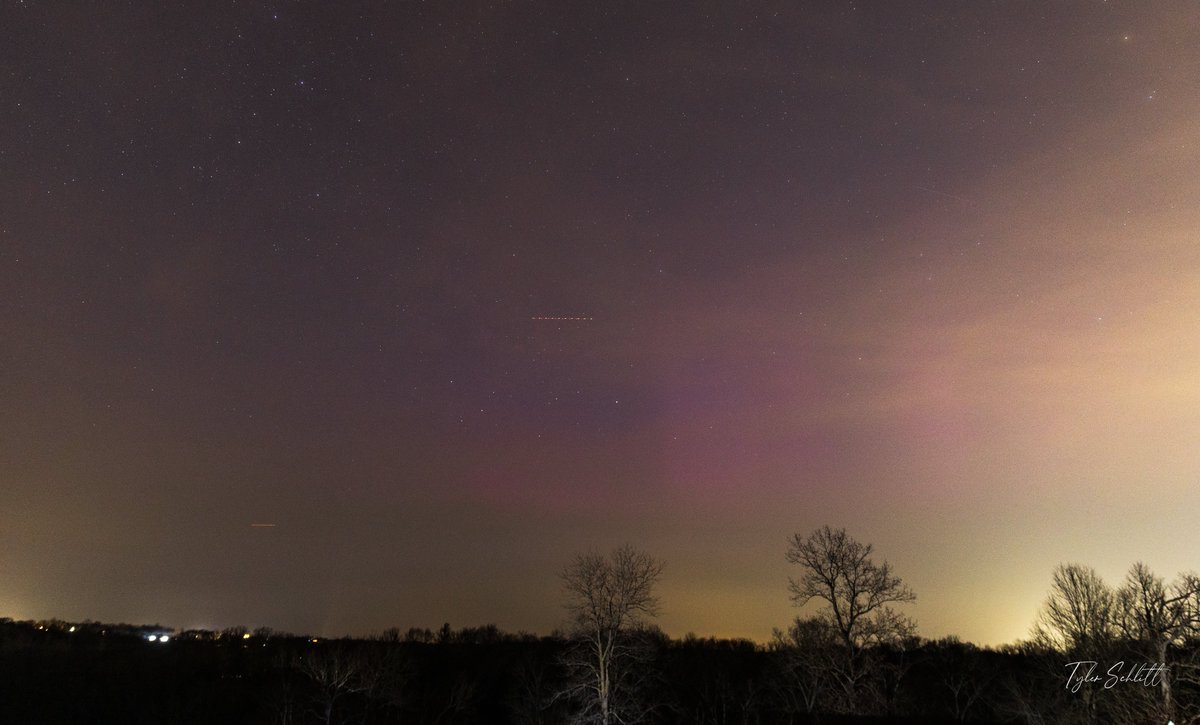 TylerSchlittPhotography tweet media