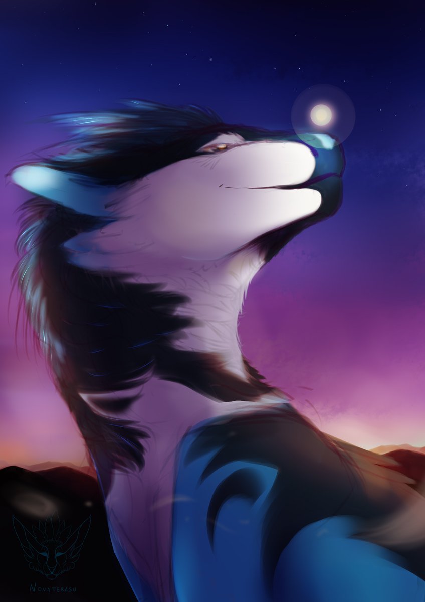 ✨ Nova ✨(c0ms open!) tweet media