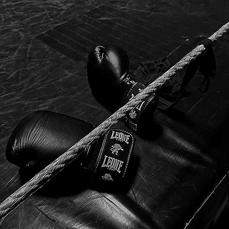 * ᅟ 𝐊𝖎𝐄𝐑𝚲𝐍 ᅟ ⁀♱ ᅟ ᴮᴸᴬ𝕮ᴷᵂᴼᴼᴰ ᅟ ៸៸ tweet media