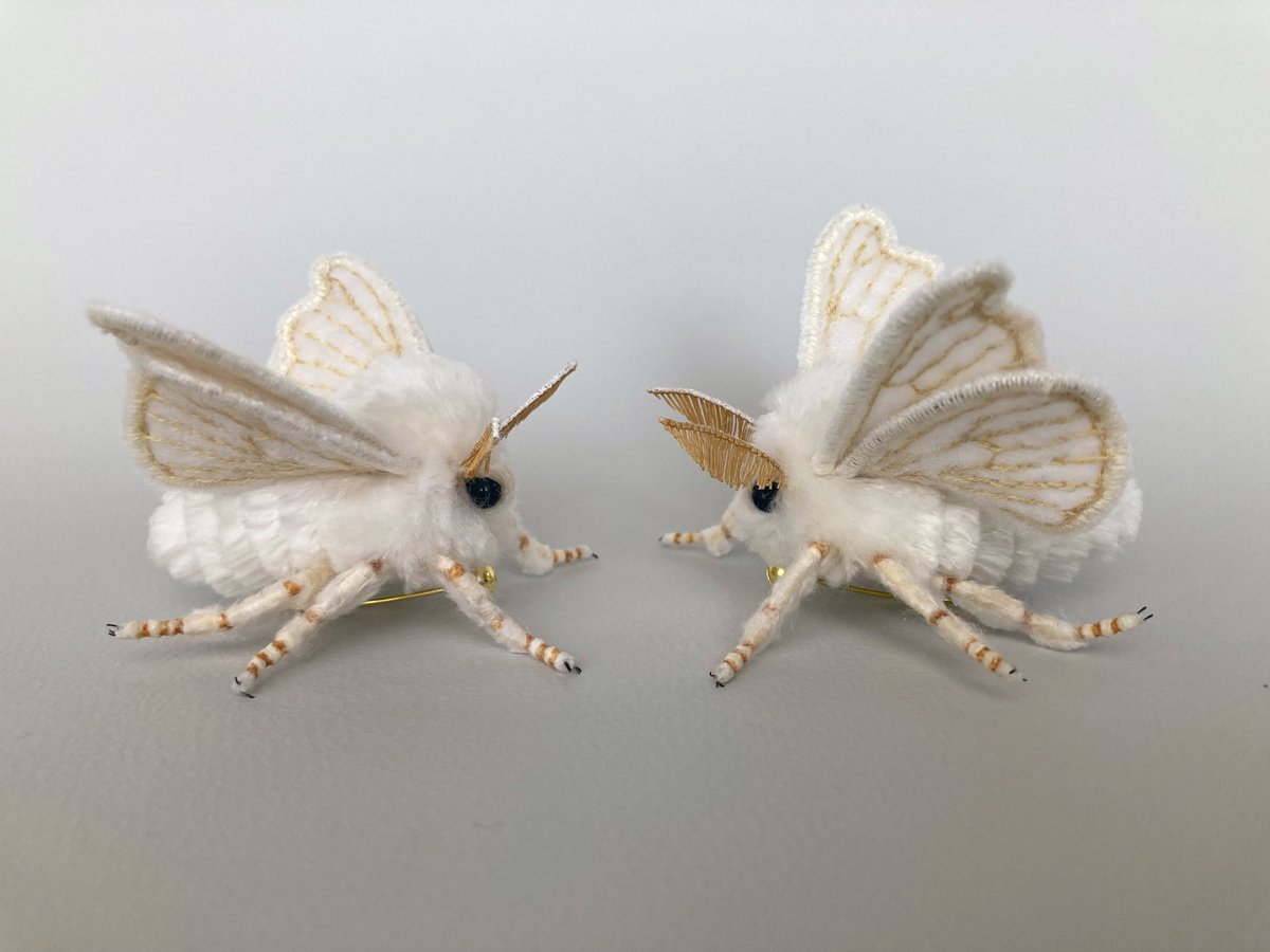 蛾売りおじさん tweet media