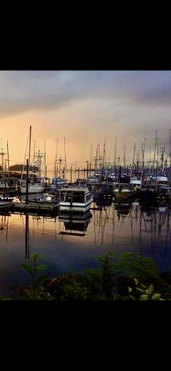 Alaska Kat tweet media