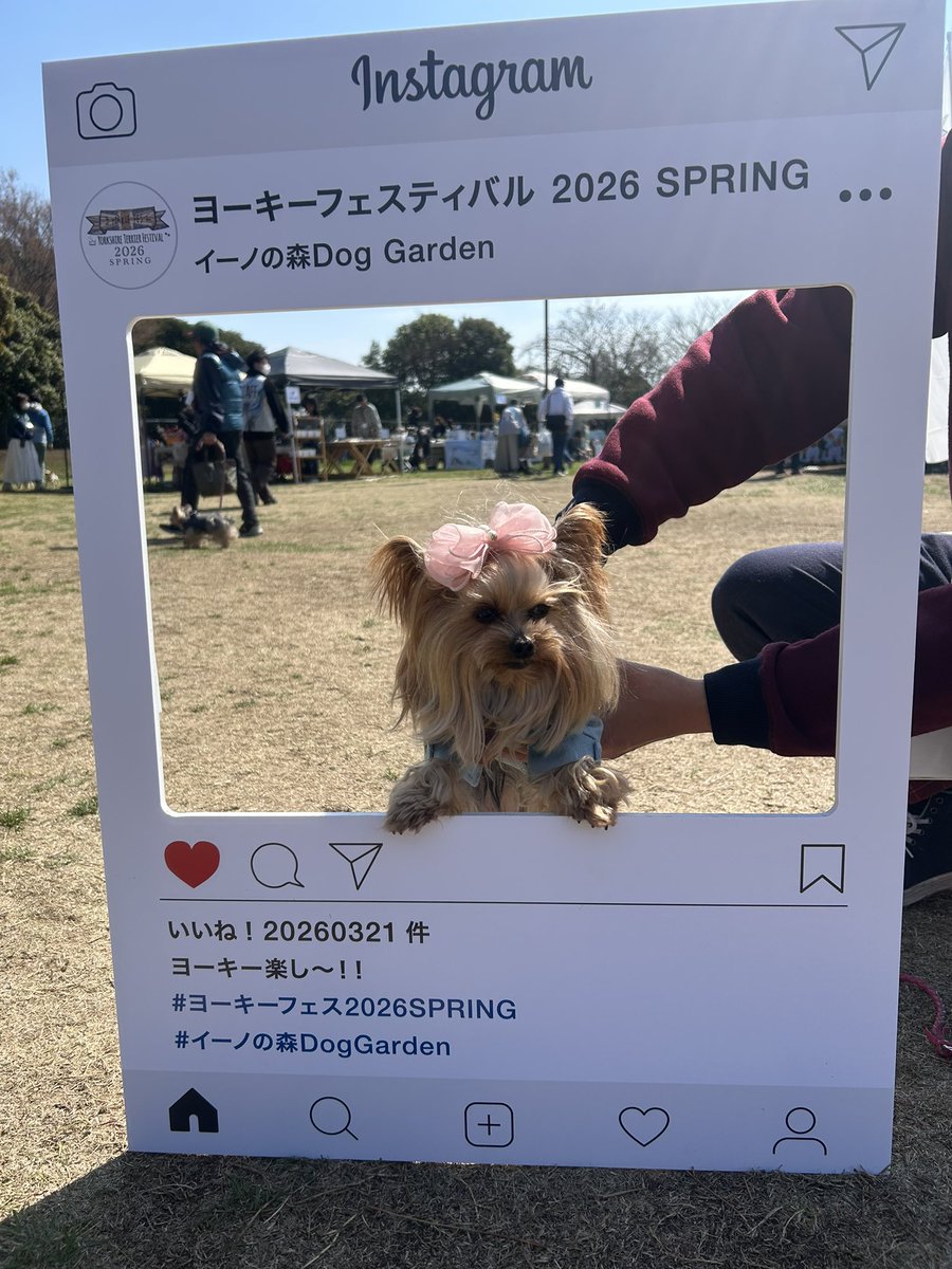 CTMAMA116's tweet photo. #ヨーキーフェス2026SPRING https://t.co/mkAs7nZwFE