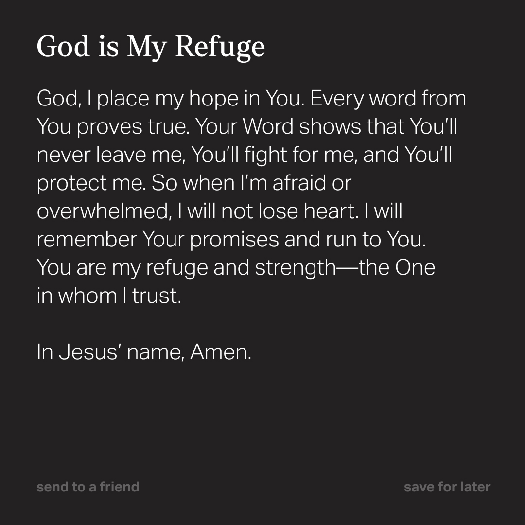 YouVersion Bible App tweet media