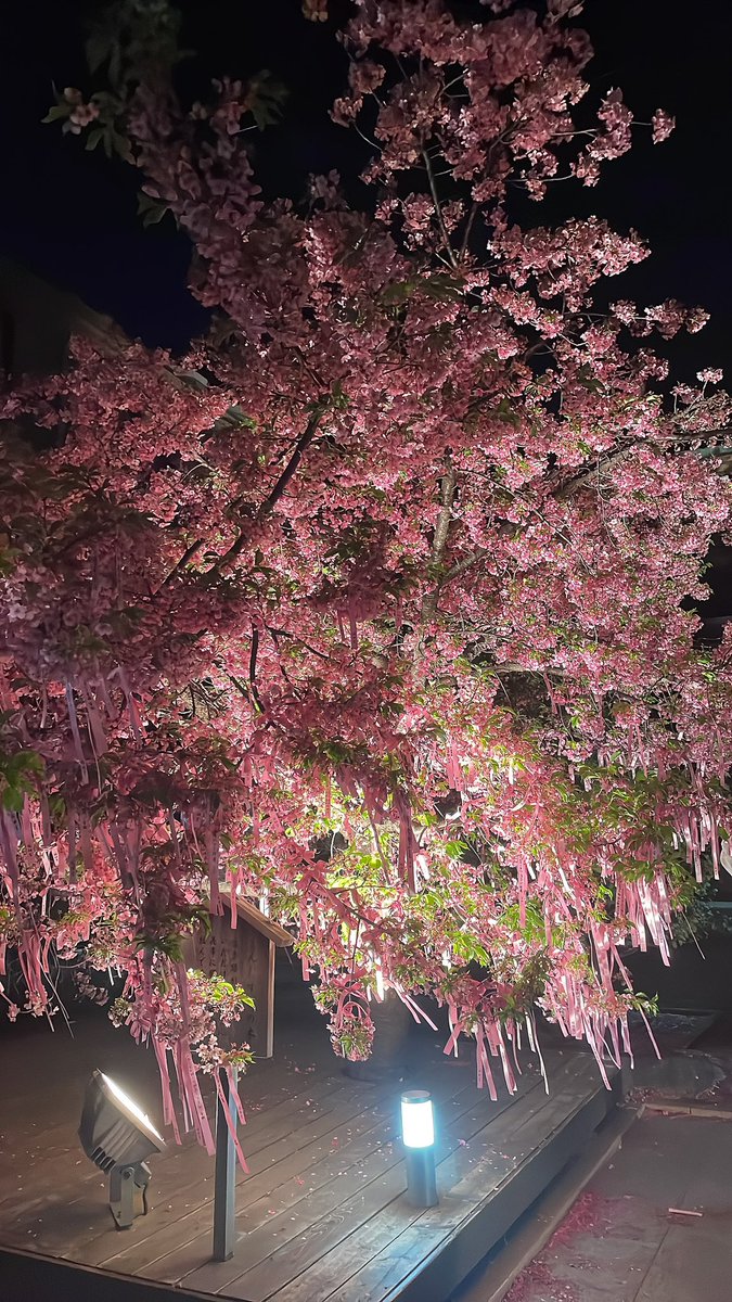 まゆっち🍎🀄️AQUAH2O staff tweet media