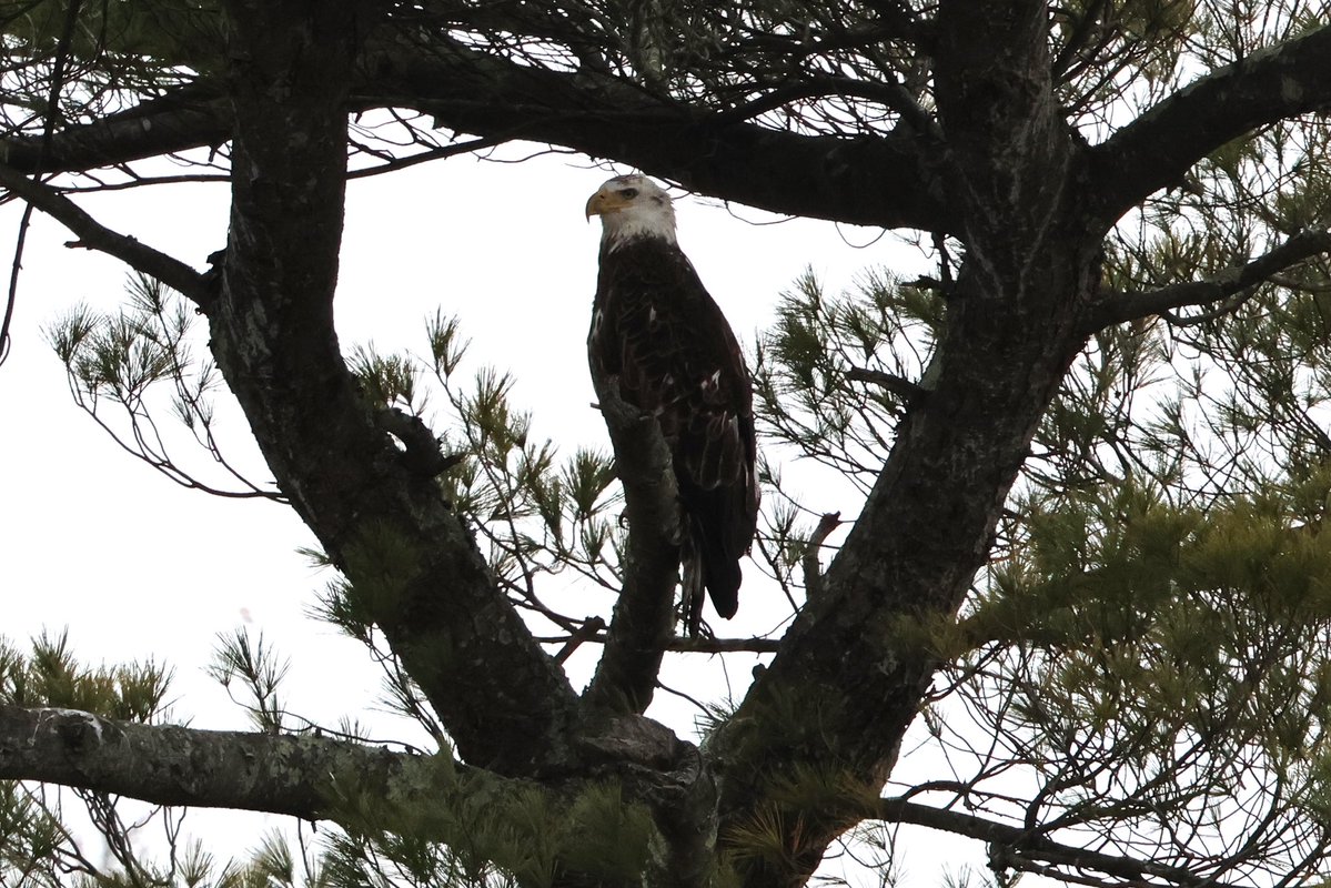 Brenda Kestenbaum tweet media