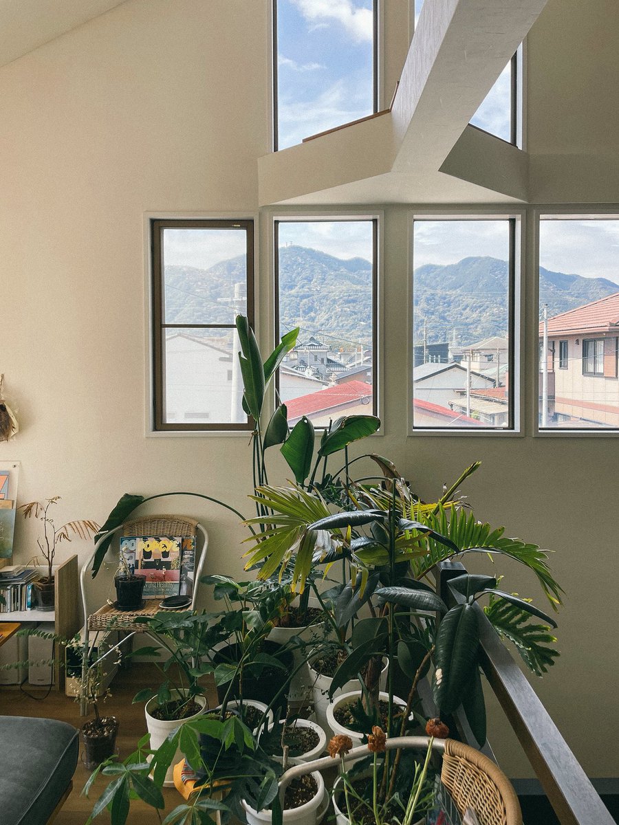 ヤスナガコウユウ tweet media