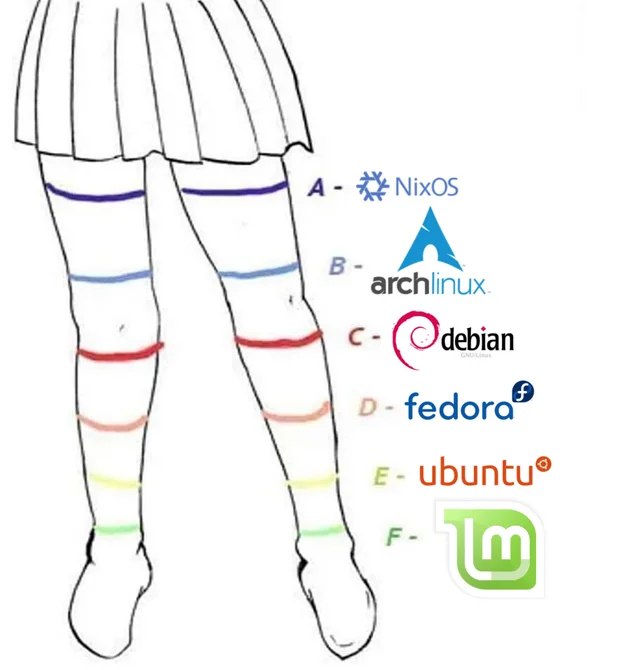 ༺ღ༒ 𝑽𝒊𝒕𝒐𝒓𝒊𝒖𝒔 ༒ღ༻ tweet media