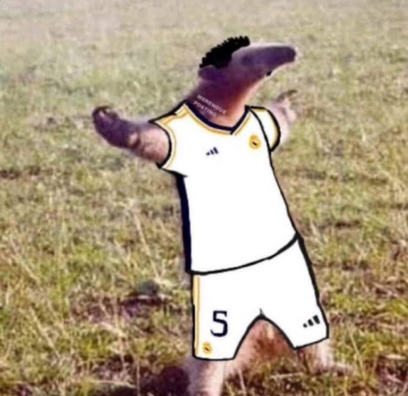 Vidal Z. tweet media