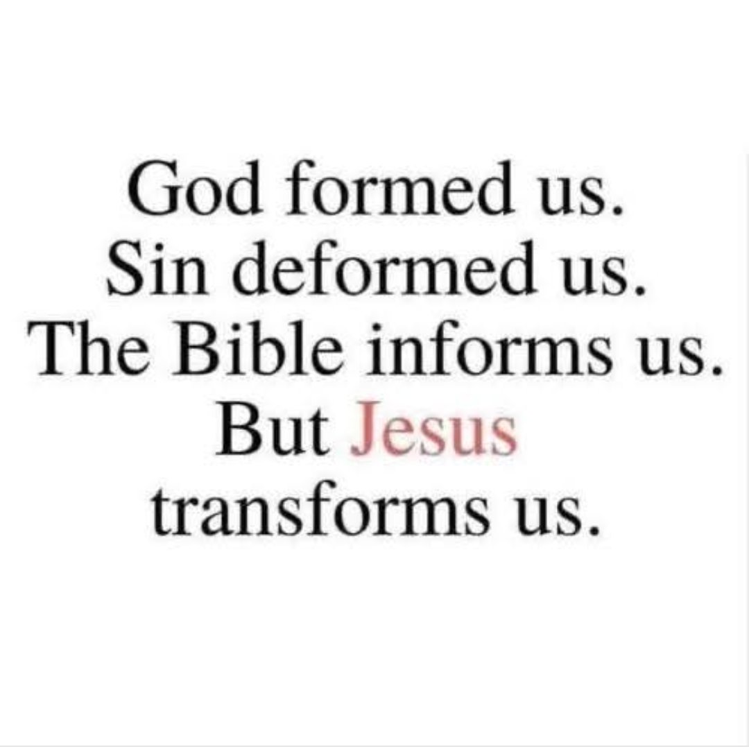 AMASEEDSOWER tweet media