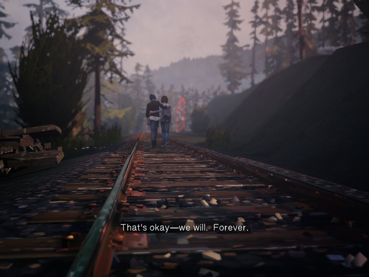 Maya🥀🐈⬛ tweet media