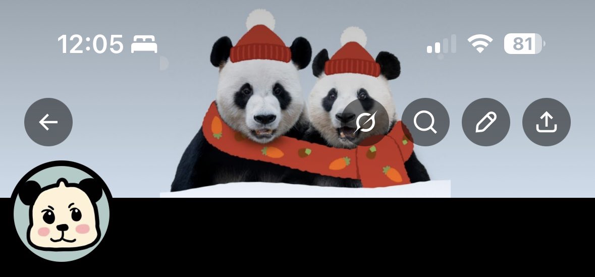 국경없는판다회 tweet media