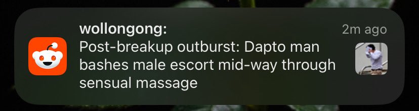 El The Freedom Fairy tweet media