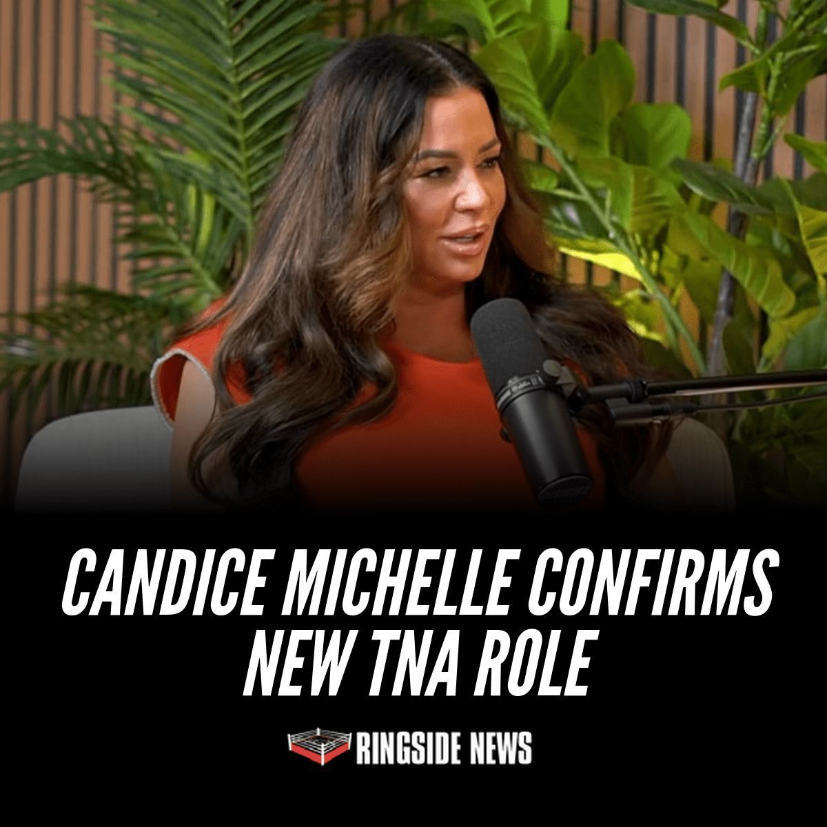 PWStream tweet media