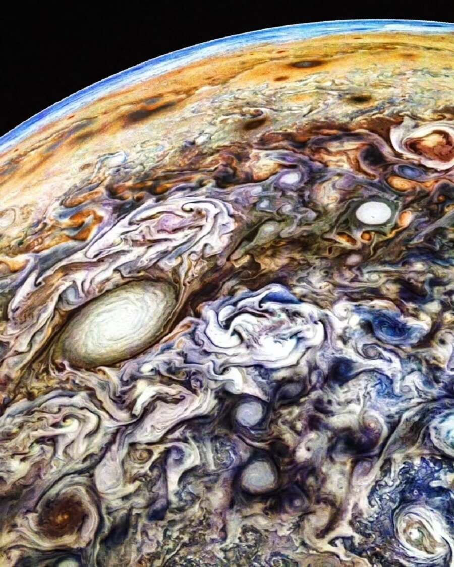 🐗 괴인 뿔엄니 tweet media