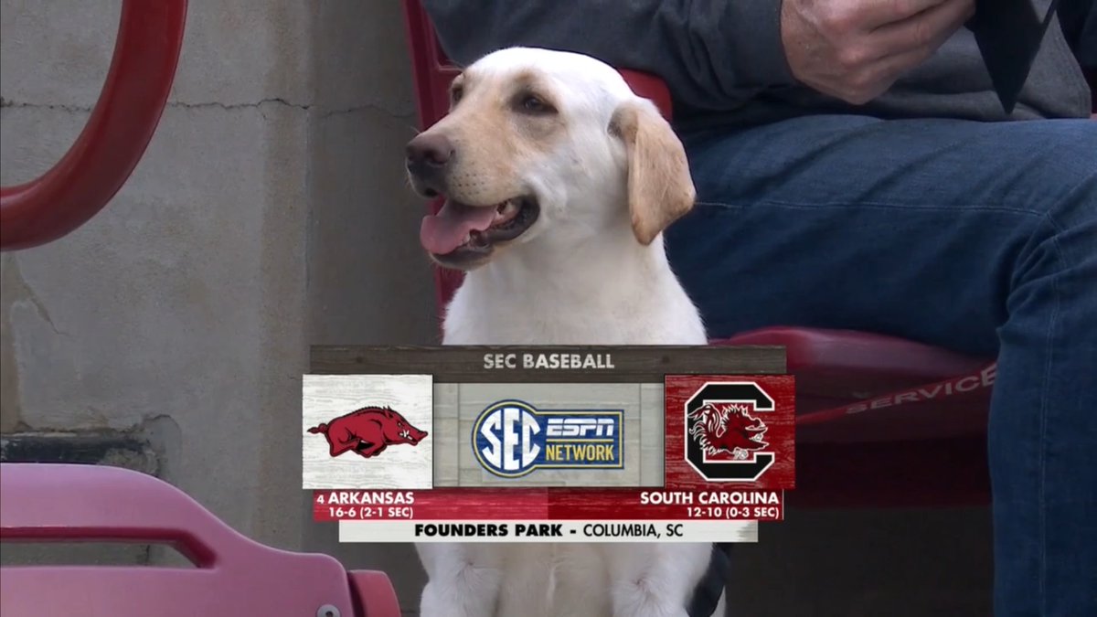 Cory Stewart tweet media