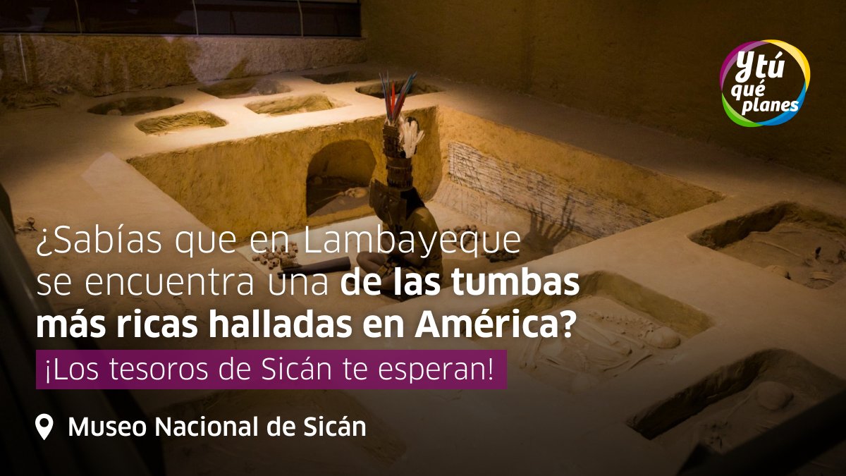 Y tú qué planes tweet media