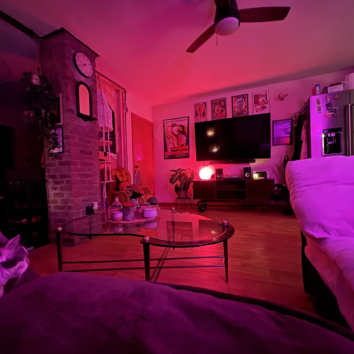 90smiau's tweet image. got new light, cleaned my living room, yipeee 
happy first fay of spring