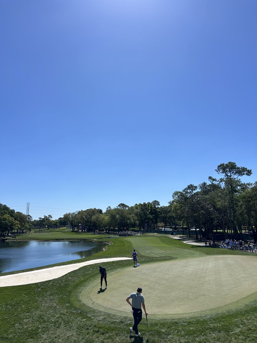 Bull Gator tweet media