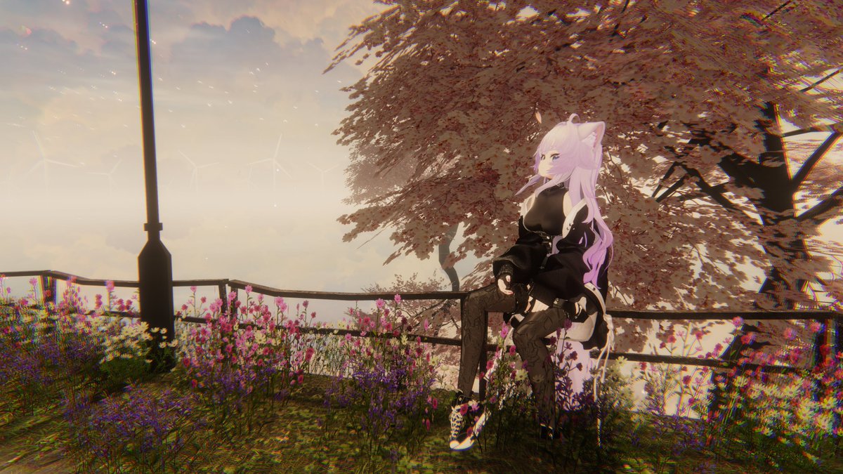 Magic_ Ishi tweet media