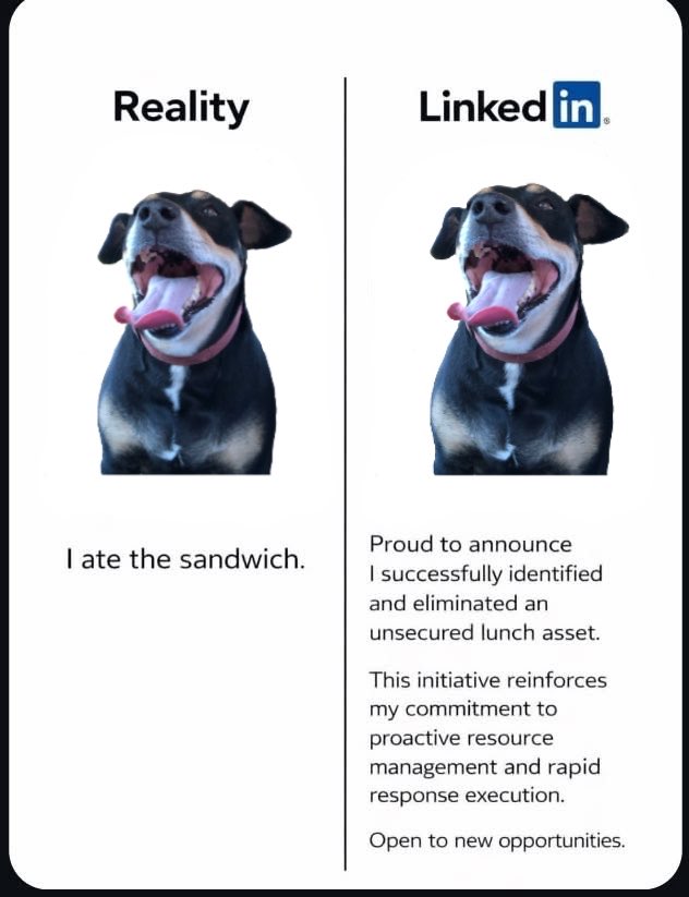 Leann Webb tweet media