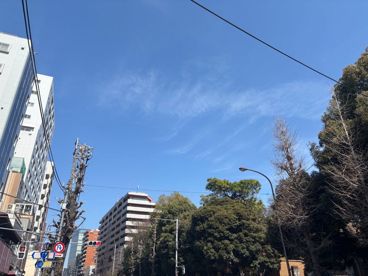 おはようございます✨
今の #文京区 西片の天気は晴れ☀気温は13℃

今日は #国際人種差別撤廃デー 昨日は雨で気が付かなかったけど桜が咲いていますね😄
皆さま、良い週末を😁

#今日は何の日
#イマソラ　
#公式企業が地元の天気を言い合う