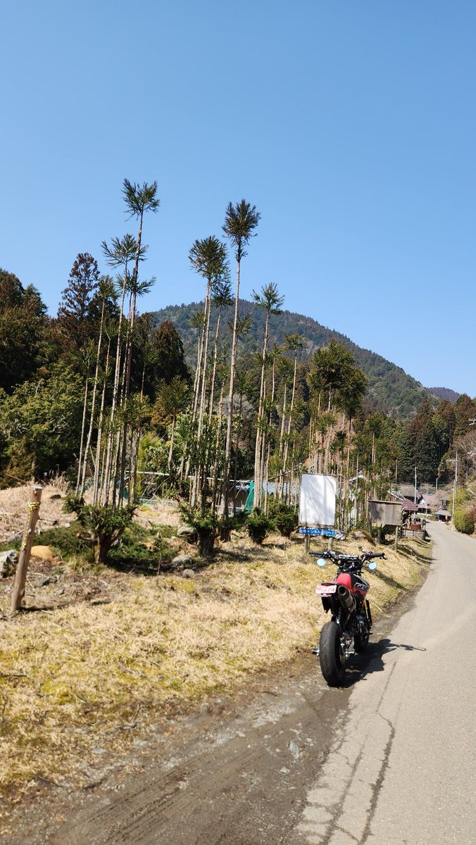 Hiros@GROM tweet media