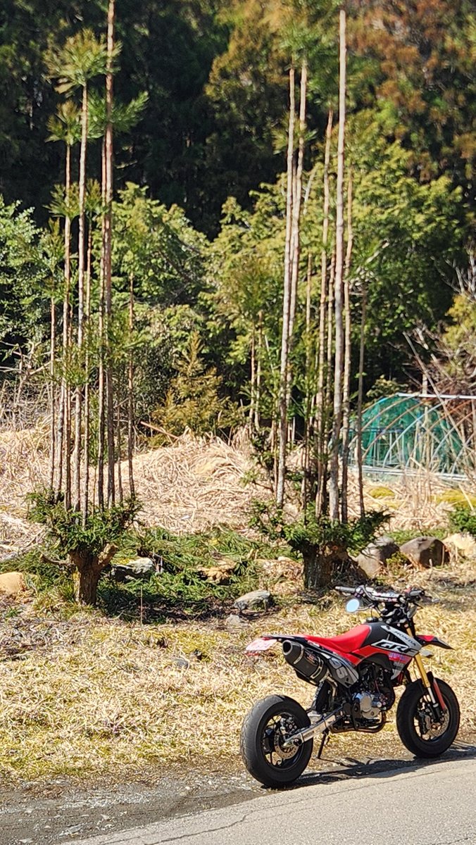 Hiros@GROM tweet media