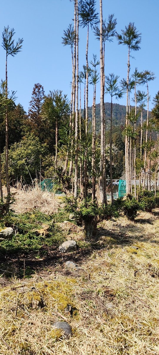 Hiros@GROM tweet media