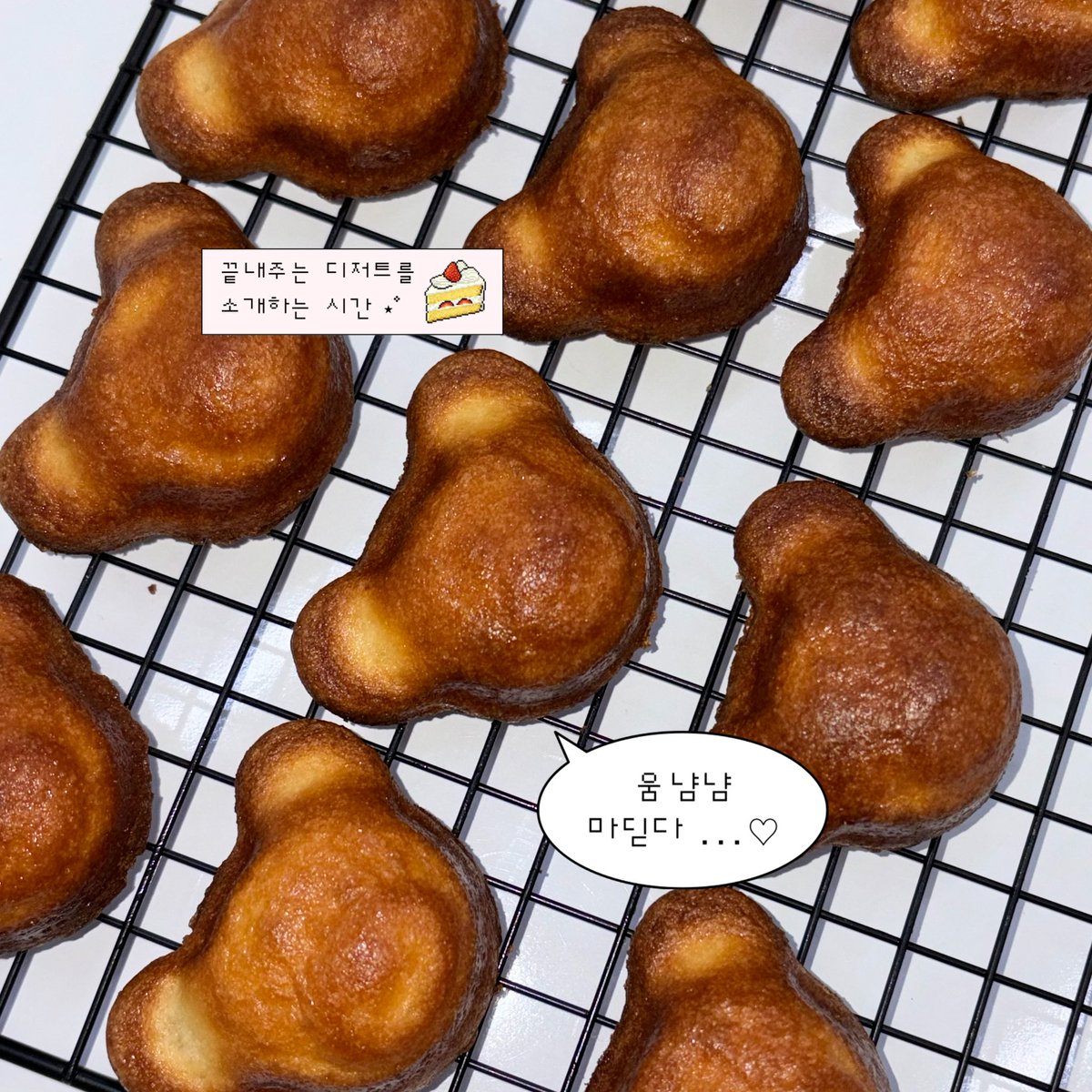 카페 소야 | 대구 생일카페 | 동성로 생일카페 | 무료 대관 tweet media