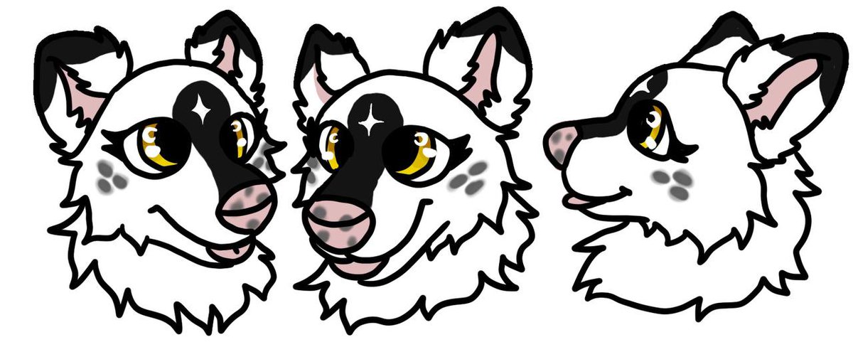 ミ★ 𝘒𝘢𝘪 ★彡 tweet media