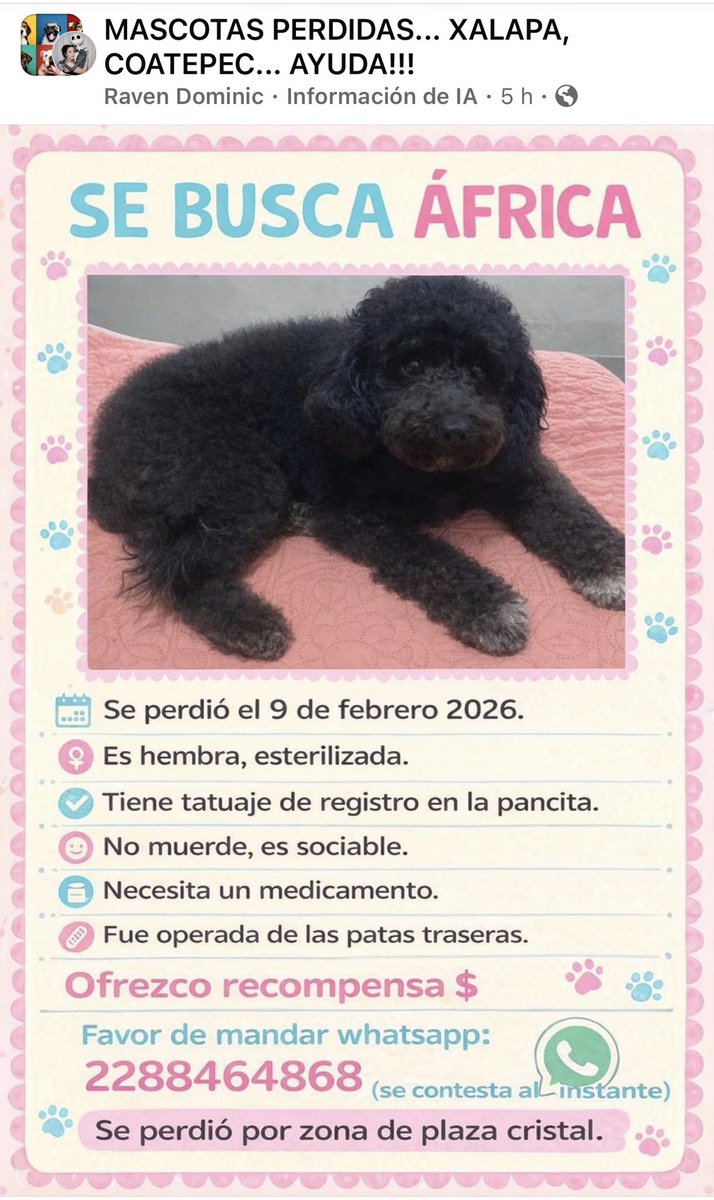 ANGIE COLUNGA tweet media