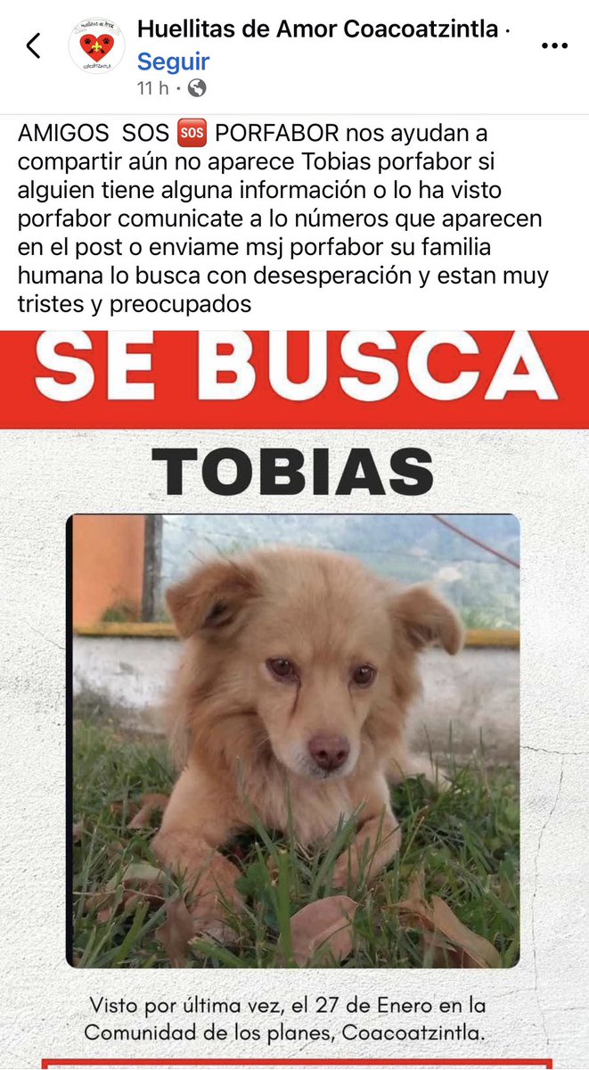 ANGIE COLUNGA tweet media